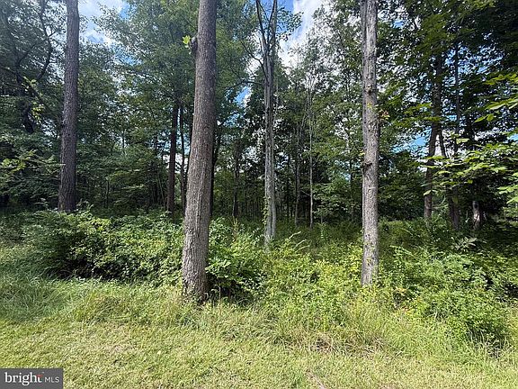 5th image of LOT Fishing Creek Valley Rd