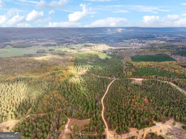 0 Josh Ward Rd, Summerville, GA 30747