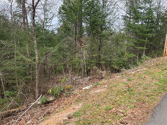2nd image of 251 Ski View Ln Lot 251