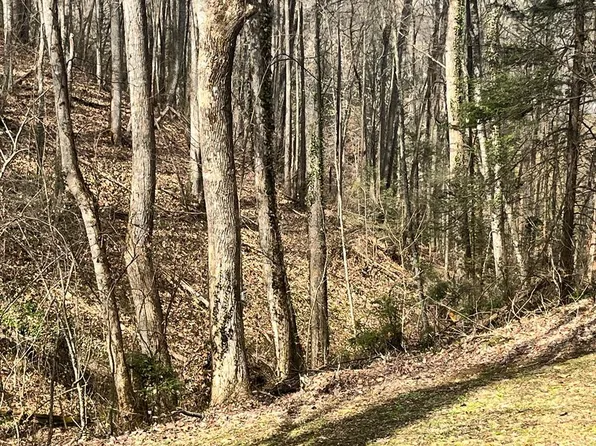 LOT 15 Cole Ln, Gatlinburg, TN 37738
