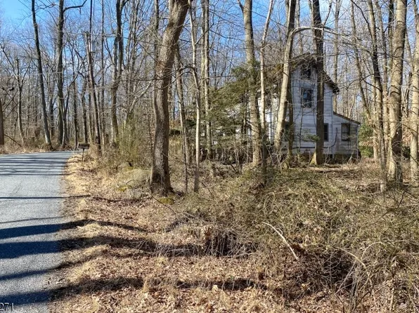 17 Zion Rd, East Amwell Twp., NJ 08525