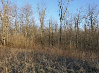 Mitchell Rd, Wilmington, OH 45177