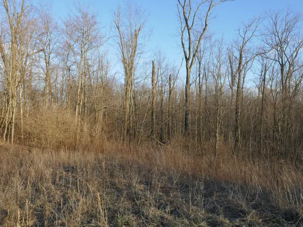 Mitchell Rd, Wilmington, OH 45177