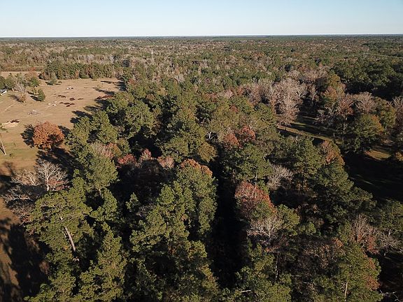 3rd image of 15121 State Highway 87 N