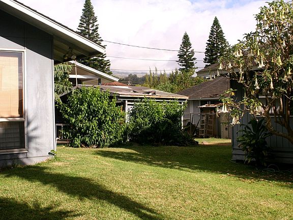 Back yard