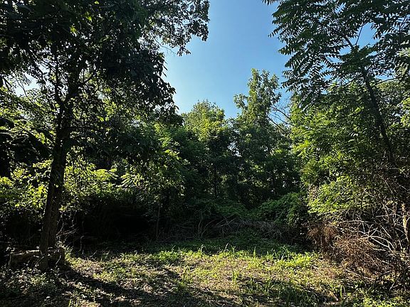 5th image of 117 Lightfoot Ln