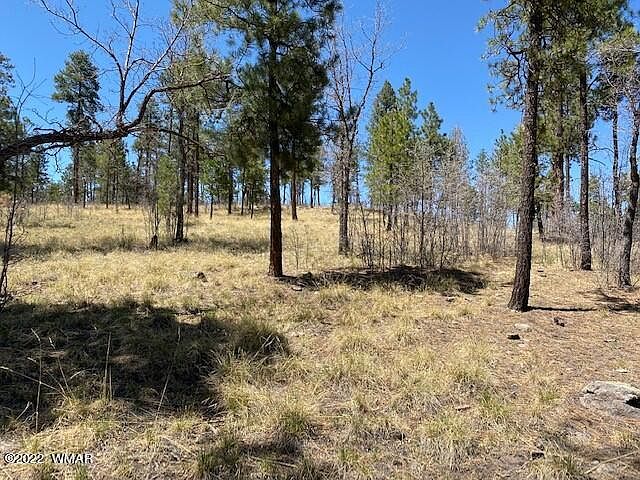 1st image of 0 County Road 2191 Lot 41
