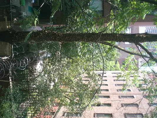 Rented by Barlavi Inc. | media 27