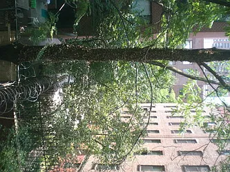 Rented by Barlavi Inc.