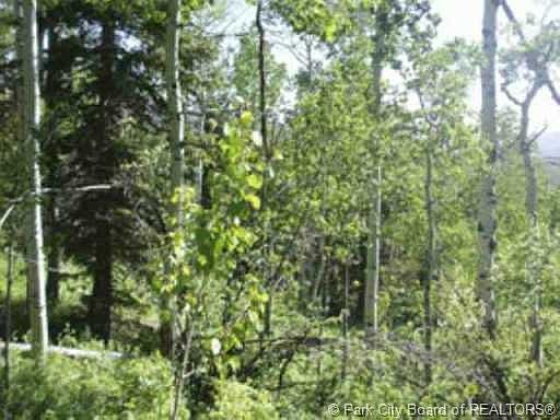 2nd image of 696 Porcupine Loop #Ss-144