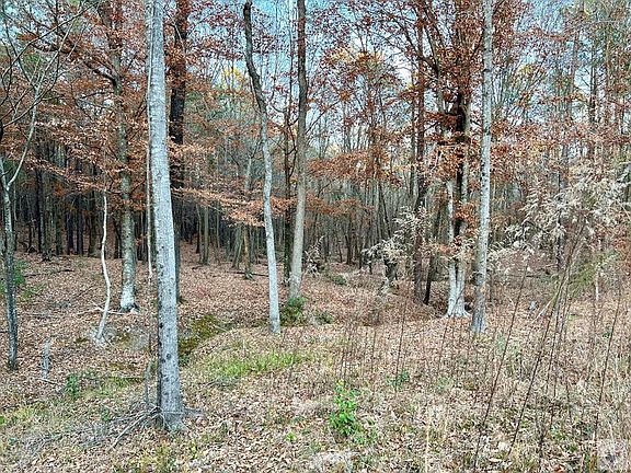 5th image of 8171 Tennessee Rd