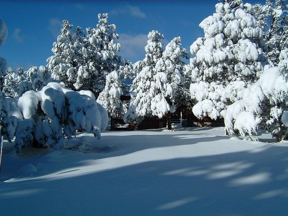 Front of property in winter