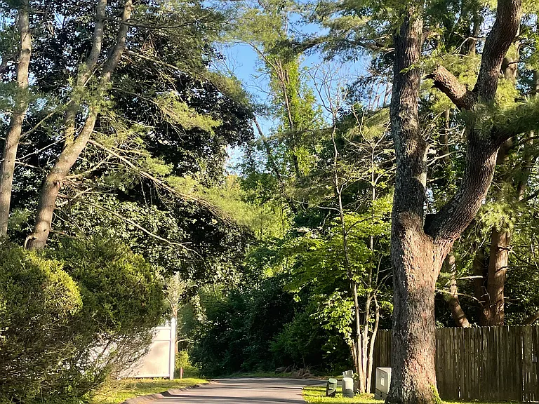 22 Scott Rd — Photo 10