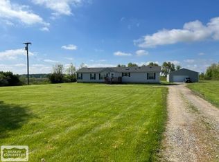 10673 Lambs Rd, Riley, MI 48041