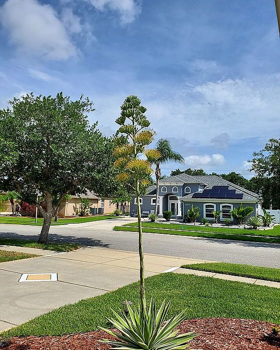 1st image of 629 Marisol Dr