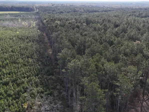 Highway 478, Robeline, LA 71469