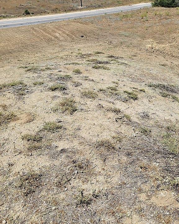 1st image of McCloud Dr Vic Littlehor