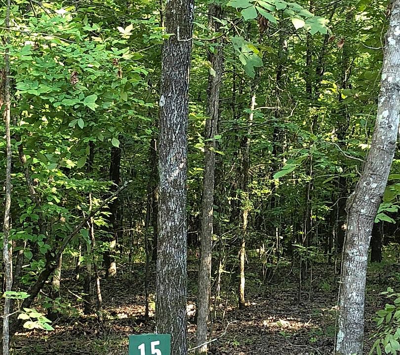 1st image of 15 Woodland Cir
