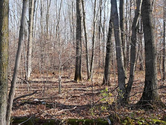 3rd image of +/-5.17 Acres COUNTY LINE ROAD