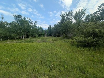 W Long Lake Rd, Alpena, MI, 49707