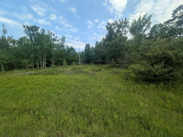 W Long Lake Rd, Alpena, MI 49707