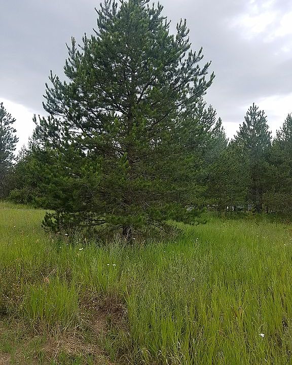 1st image of 3570 Spirit Lake Cutoff