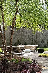 Rented by Nest Seekers International