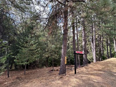 25488 Meadow Dr, Pioneer, CA, 95666