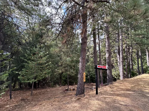 25488 Meadow Dr, Pioneer, CA 95666