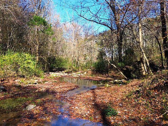 21st image of 0 Hollis Creek Rd S