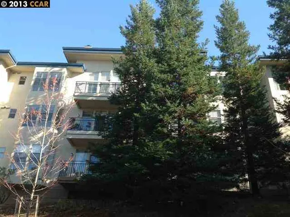 5920 Horsemans Canyon Dr APT 3A, Walnut Creek, CA 94595