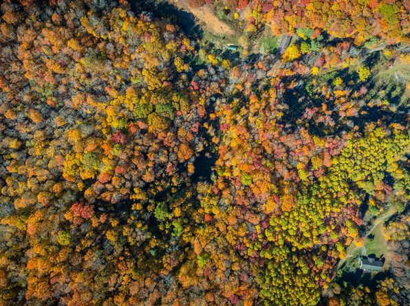 119 Hughes Hollow Rd, Roan Mountain, TN 37687