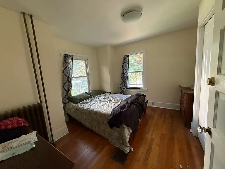 209 West Clinton Street (or Clinton Street West) Ithaca NY 14850 — Photo 22