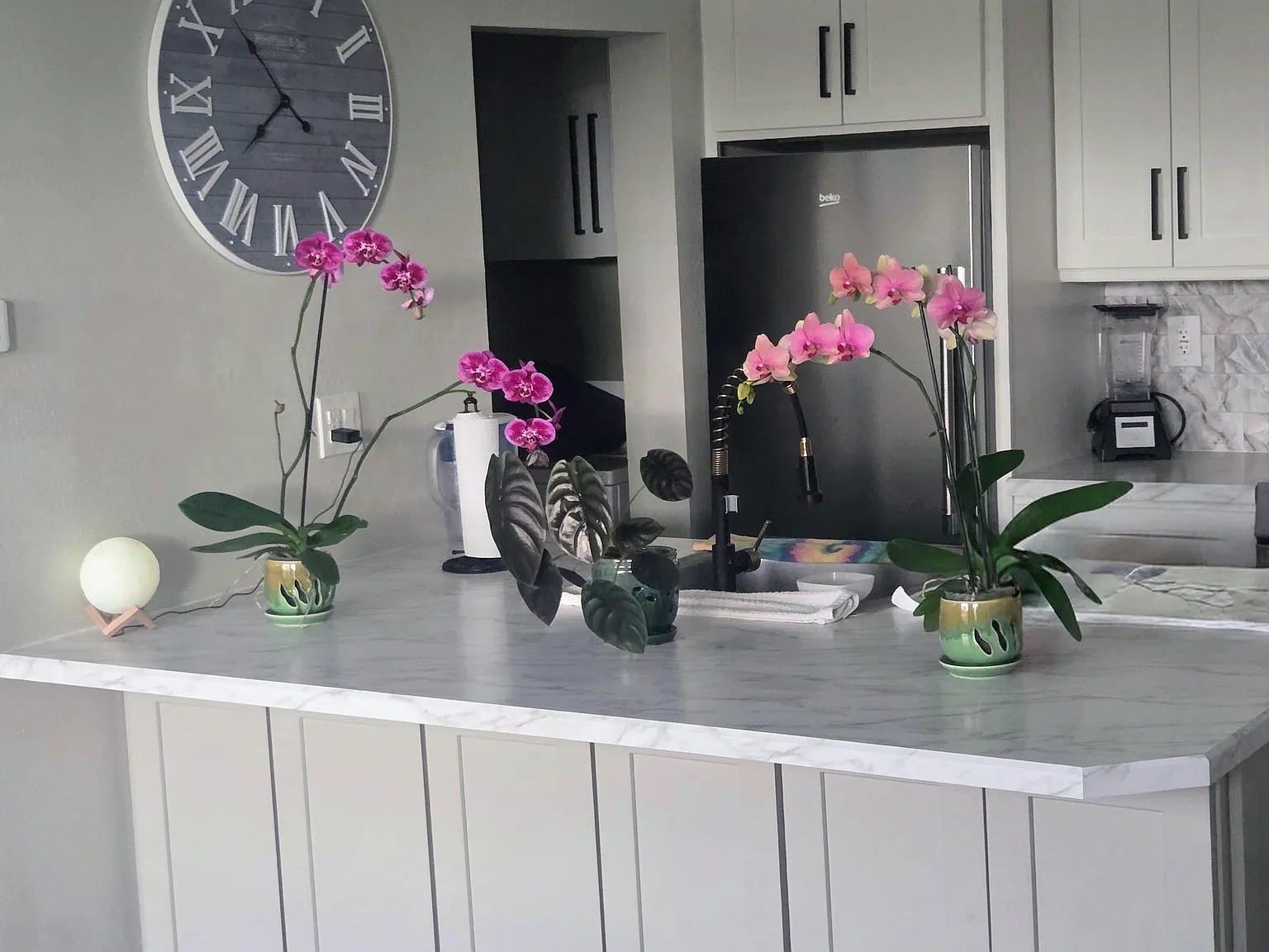 2 bed, 925 sqft, $950 — Photo 4
