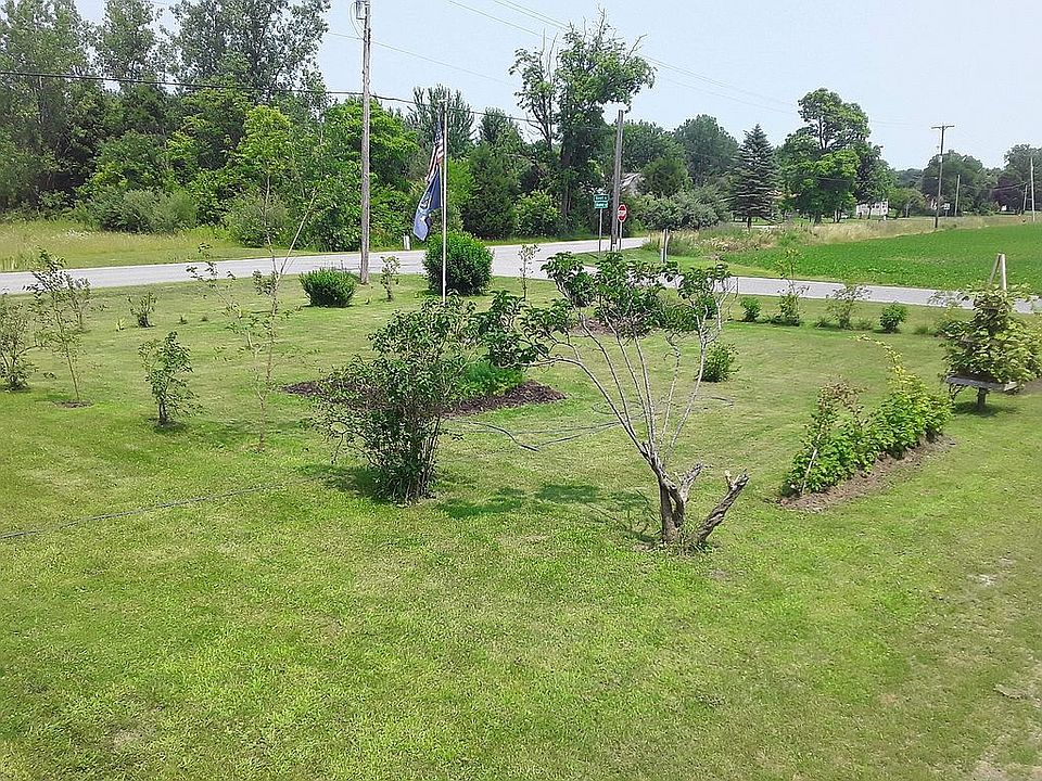 Front side yard