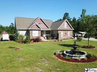 7442 Francis Marion Rd, Effingham, SC 29541