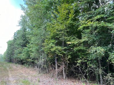 1564 County Road 325, De Berry, TX, 75639