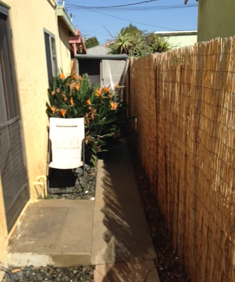 4512 Alla Rd #1 — Photo 5