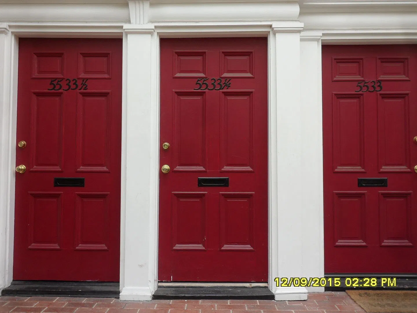 Harold — Photo 3