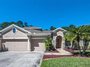 14721 Coral Berry Dr, Tampa, FL 33626
