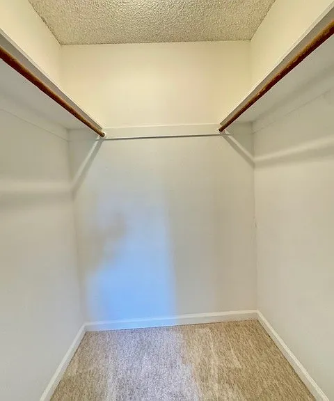 1407 Marchbanks Dr — Photo 13