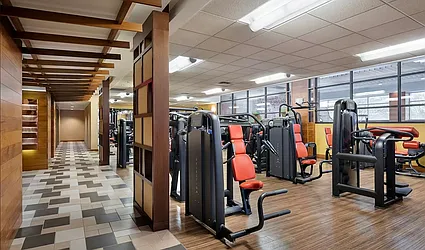 Rented by Level Group