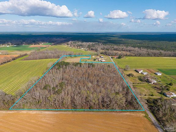 3rd image of 6562 Will Jones Rd