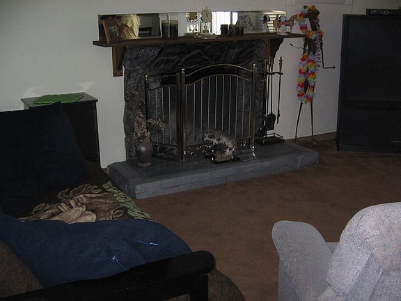 Fireplace in Living Room
