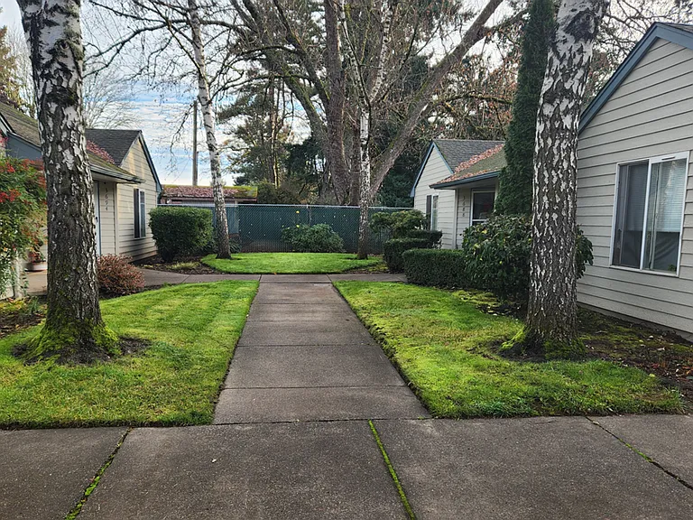 Shady Manor — Photo 18