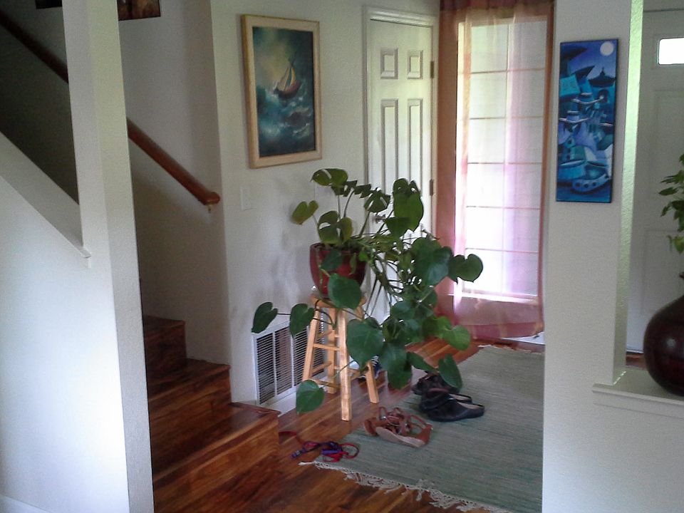 1st image of 353 E Cotati Ave