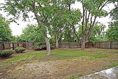 backyard_500_07302013