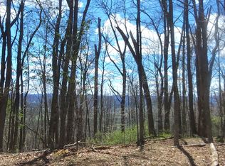 Bear View Trl, Hillsboro, WV 24946