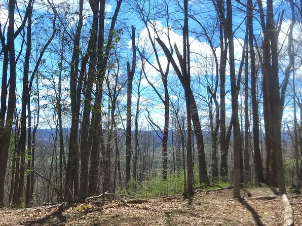 Bear View Trl, Hillsboro, WV 24946