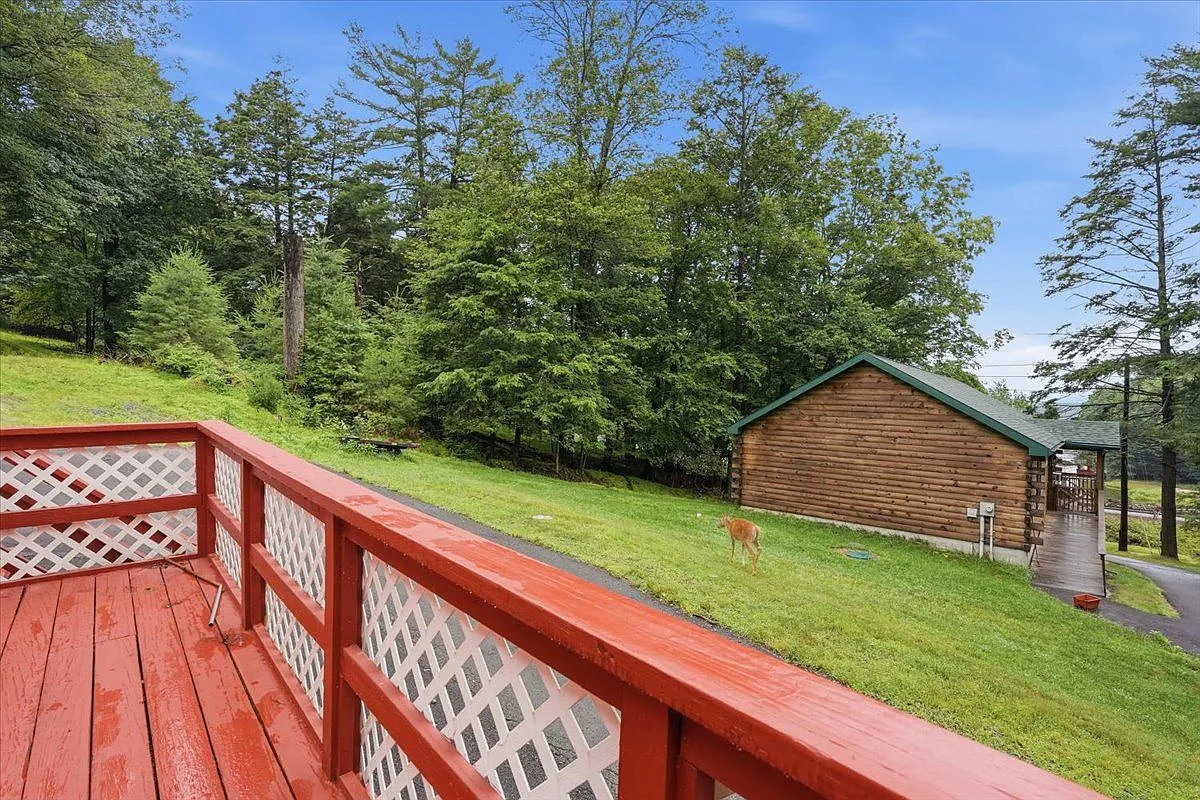 2 bed, 1.0 bath, 720 sqft, $1,500 — Photo 3